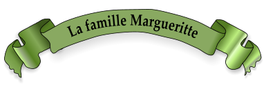 La famille Margueritte