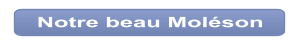 Notre beau Moléson