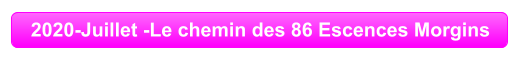 2020-Juillet -Le chemin des 86 Escences Morgins