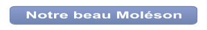 Notre beau Moléson