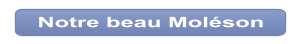Notre beau Moléson