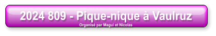 2024 809 - Pique-nique à Vaulruz Organisé par Magui et Nicolas