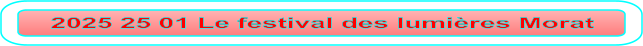 2025 25 01 Le festival des lumières Morat