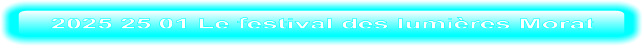 2025 25 01 Le festival des lumières Morat