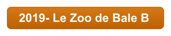 2019- Le Zoo de Bale B